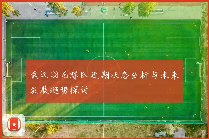 武汉羽毛球队近期状态分析与未来发展趋势探讨