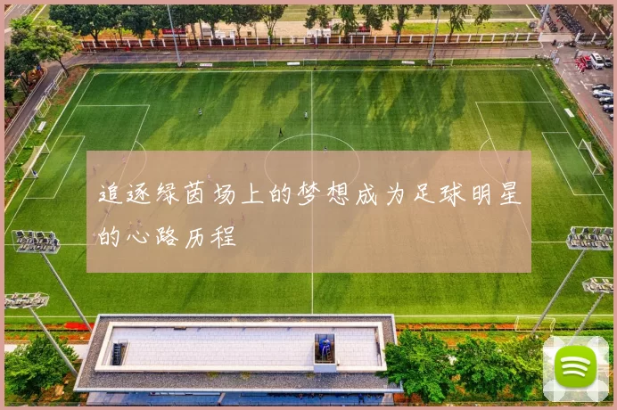 追逐绿茵场上的梦想成为足球明星的心路历程