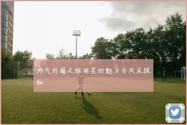 帅气外籍足球明星的魅力与风采探秘