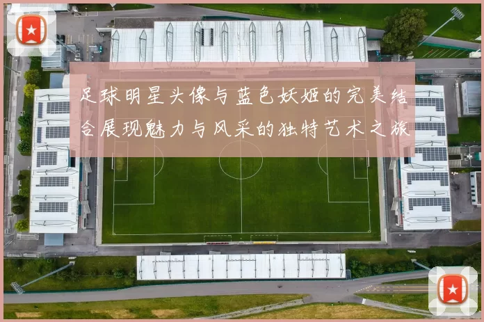 足球明星头像与蓝色妖姬的完美结合展现魅力与风采的独特艺术之旅