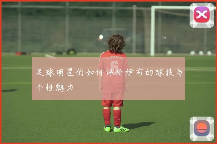 足球明星们如何评价伊布的球技与个性魅力