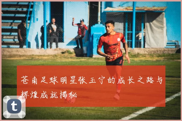 苍南足球明星张玉宁的成长之路与辉煌成就揭秘