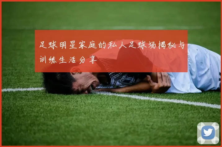 足球明星家庭的私人足球场揭秘与训练生活分享