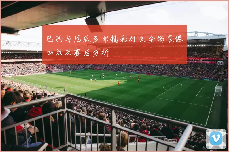 巴西与厄瓜多尔精彩对决全场录像回放及赛后分析