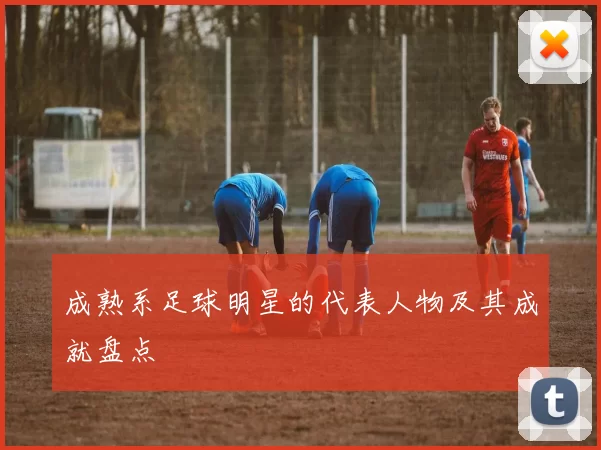 成熟系足球明星的代表人物及其成就盘点