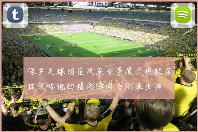保罗足球明星风采全景展示视频带你领略他的精彩瞬间与职业生涯