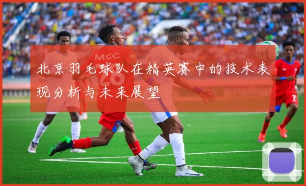 北京羽毛球队在精英赛中的技术表现分析与未来展望