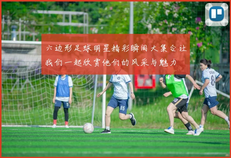六边形足球明星精彩瞬间大集合让我们一起欣赏他们的风采与魅力