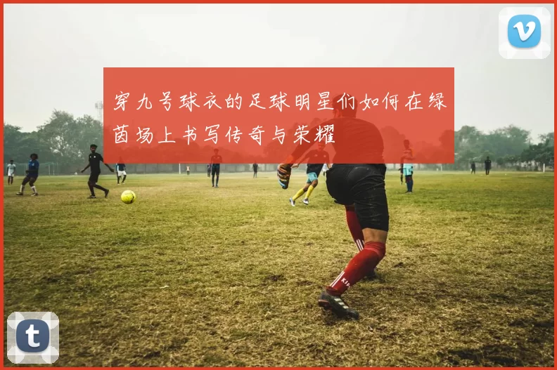 穿九号球衣的足球明星们如何在绿茵场上书写传奇与荣耀
