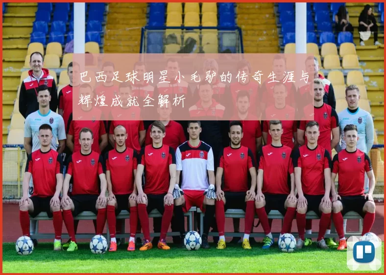 巴西足球明星小毛驴的传奇生涯与辉煌成就全解析