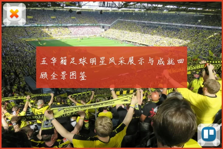 五华籍足球明星风采展示与成就回顾全景图鉴