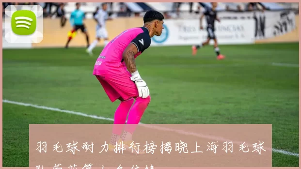 羽毛球耐力排行榜揭晓上海羽毛球队荣获第七名佳绩