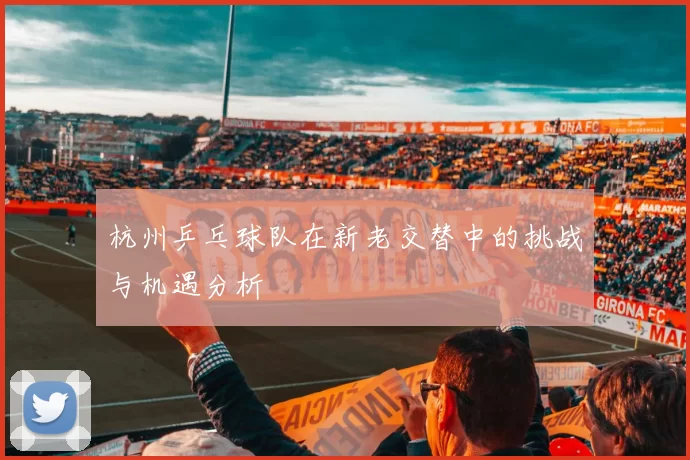 杭州乒乓球队在新老交替中的挑战与机遇分析