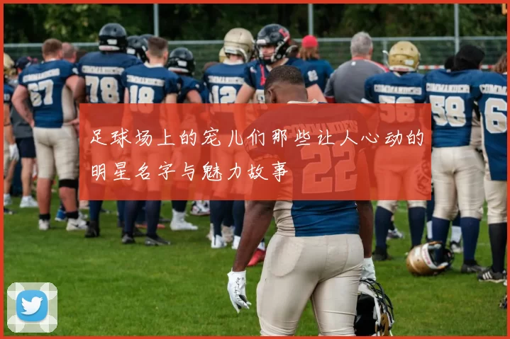 足球场上的宠儿们那些让人心动的明星名字与魅力故事