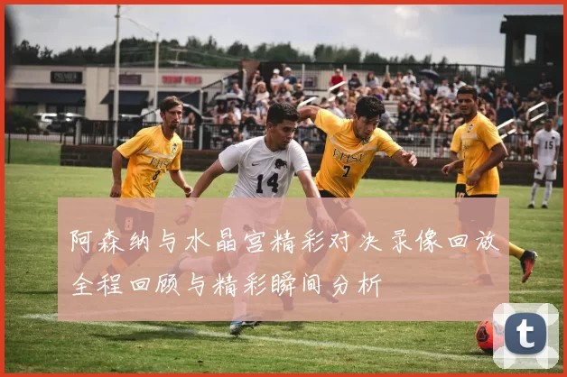 阿森纳与水晶宫精彩对决录像回放全程回顾与精彩瞬间分析