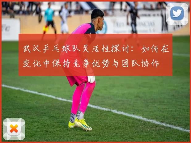 武汉乒乓球队灵活性探讨：如何在变化中保持竞争优势与团队协作