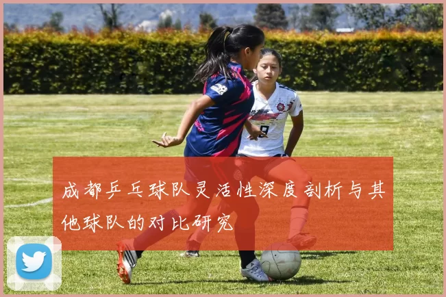 成都乒乓球队灵活性深度剖析与其他球队的对比研究