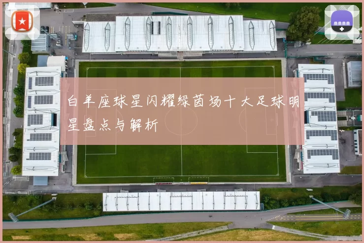 白羊座球星闪耀绿茵场十大足球明星盘点与解析